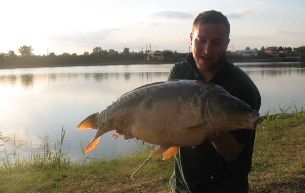 2012 - 424611_463930633639304_1408249565_n.jpg